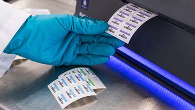 Tecnico di laboratorio che stampa etichette e utilizza la taglierina automatica per separarle in fogli.